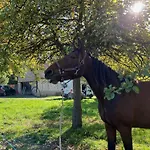 Le Domaine De Blanvatel 4*