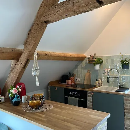 Le Domaine De Blanvatel 4*