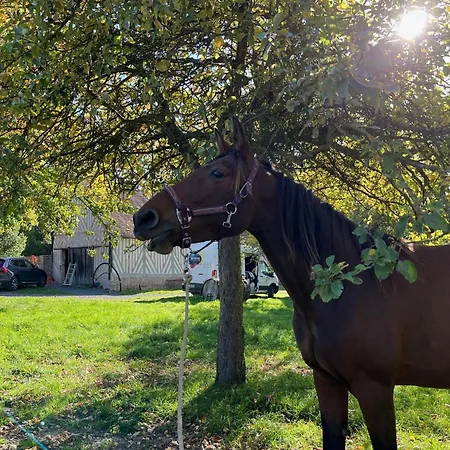 Le Domaine De Blanvatel *