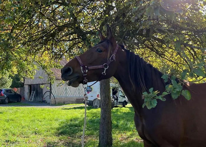 Le Domaine De Blanvatel 4*