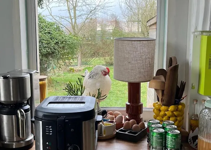 Le Domaine De Blanvatel 4*